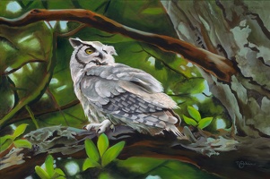 Wildlife